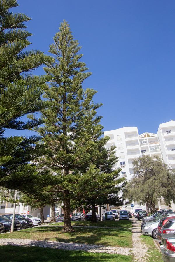 Casa Da Praia Leilighet Lagos Eksteriør bilde